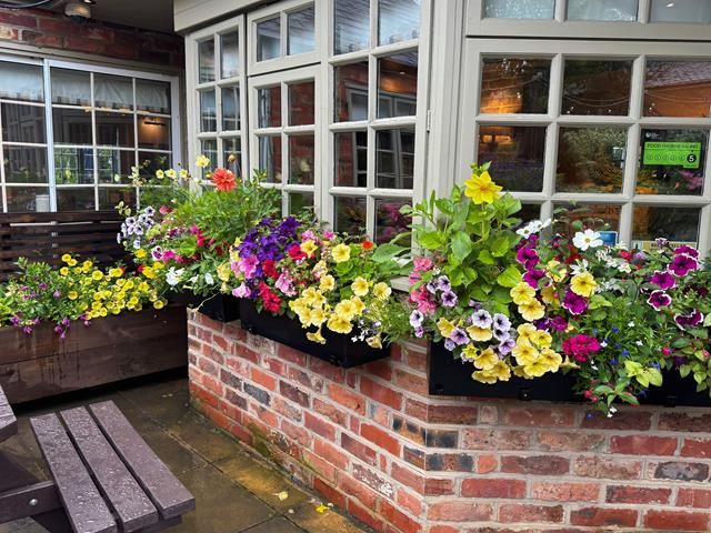commercial-hanging-baskets (2)-kireth-ai
